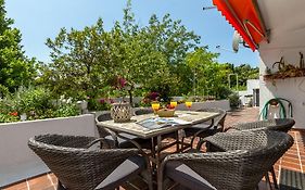 Apartment Ankora